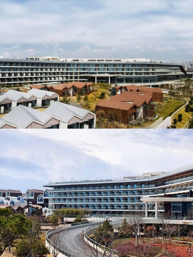 日照開元森泊度假酒店沉浸式湊仔