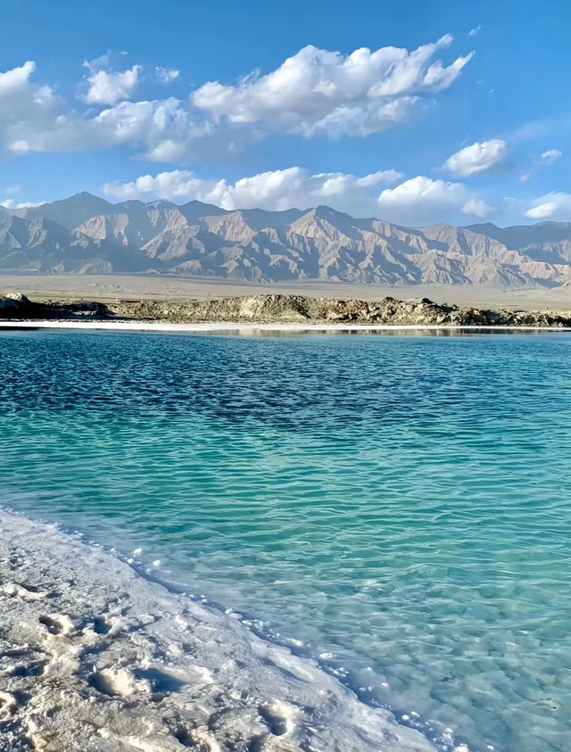 青海湖油菜花旅遊攻略｜邂逅金黃花海