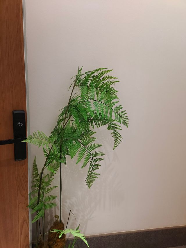 岳陽旅遊