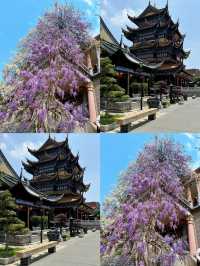 總要去趟南通吧|解鎖小眾寶藏旅行地