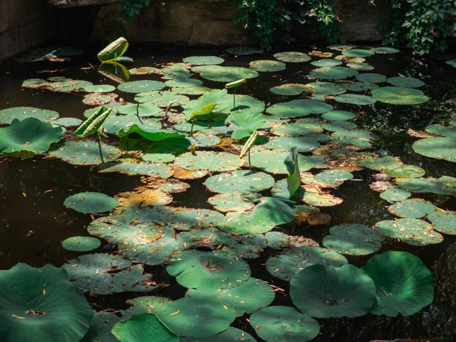 頤和園一日遊：山水畫卷中的悠閒時光