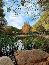 濟南森林公園 | 城市中的自然瑰寶