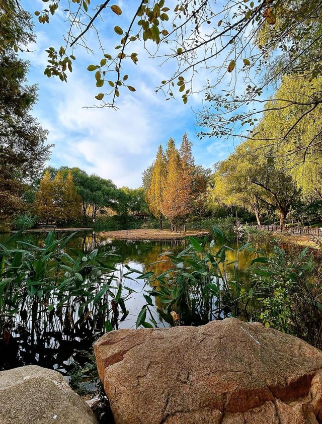 濟南森林公園 | 城市中的自然瑰寶