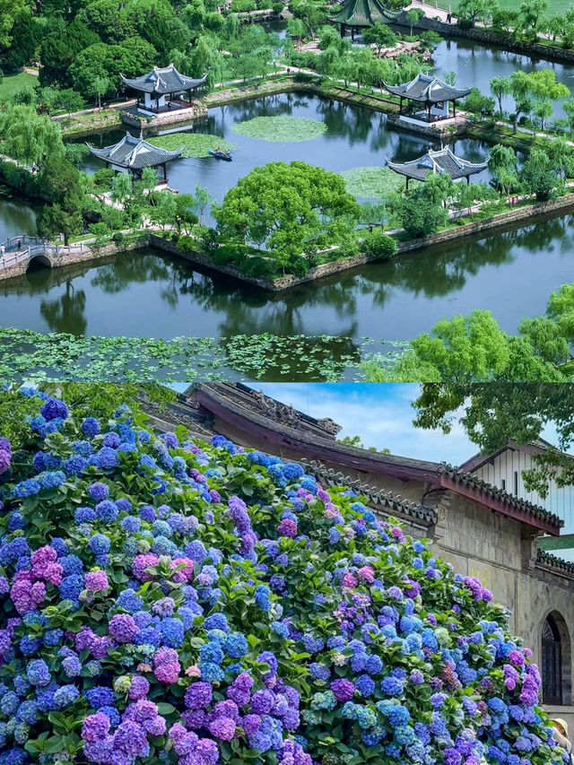 我放棄了蘇杭，這裡又好吃又好玩
