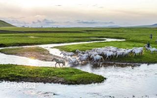 Explore Xiwuzhumuqin Banner | Paradise Grassland, Land of White Horses, Cradle of Bok