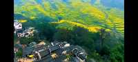 邂逅篁嶺，赴一場夢幻的田園之約   踏入篁嶺，彷彿穿越時空，走進了一幅被歲月珍藏的江南畫卷。連綿的山