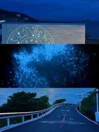 浙江花鳥島，藍白相間嘅童話小鎮