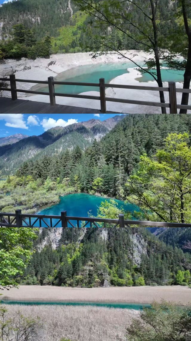 重慶→九寨溝路上的驚喜停留！都江堰億居假日酒店超暖心體驗