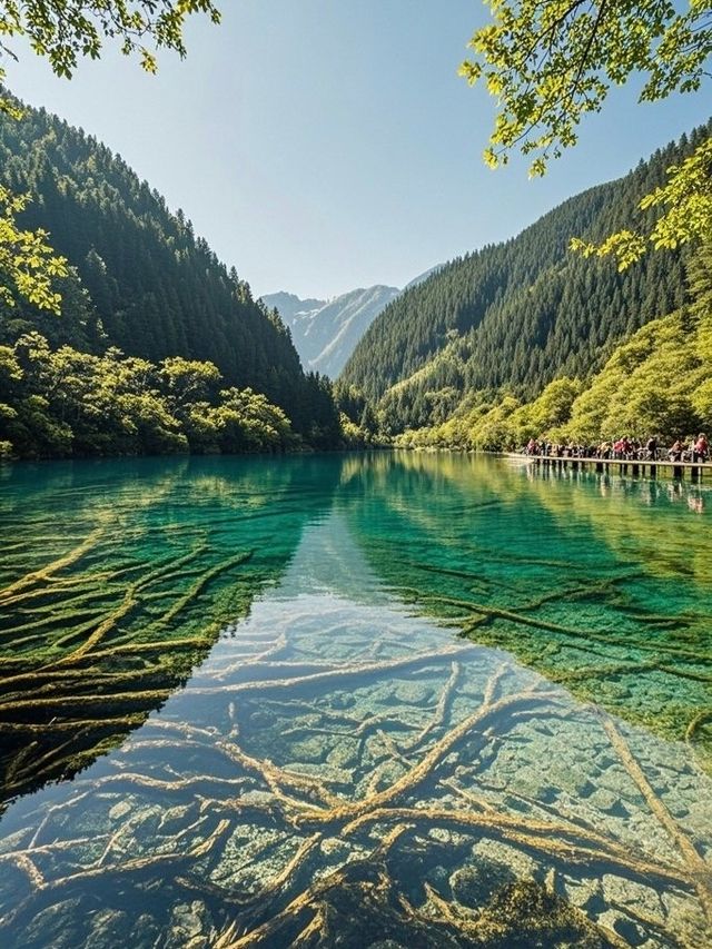 7.7九寨溝崩潰已回，要嚟嘅慎重考慮
