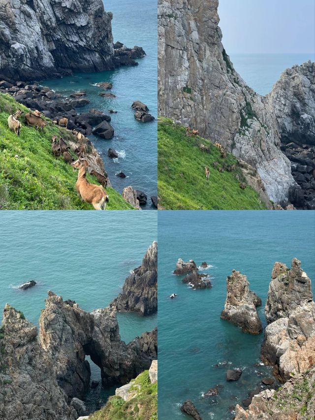 霞浦受難記返嚟喇，想去嘅姊妹要三思！