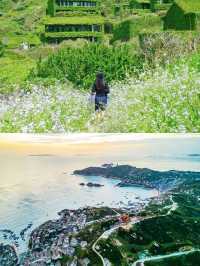 上海周邊驚現寶藏！枸杞島夏日玩水超開心