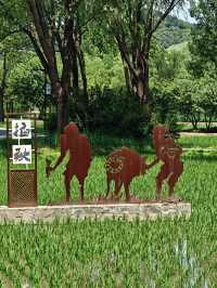 【北塢公園】漫步稻浪與古橋間