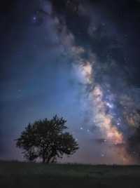 內蒙古發佈避暑觀星旅遊指南