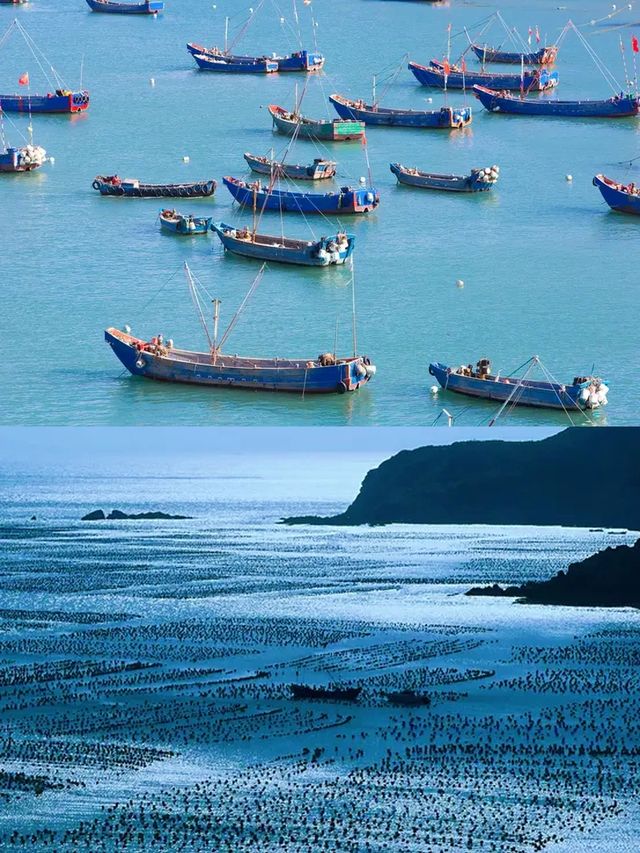 上海周邊枸杞島，夏日清涼嘅小眾驚喜