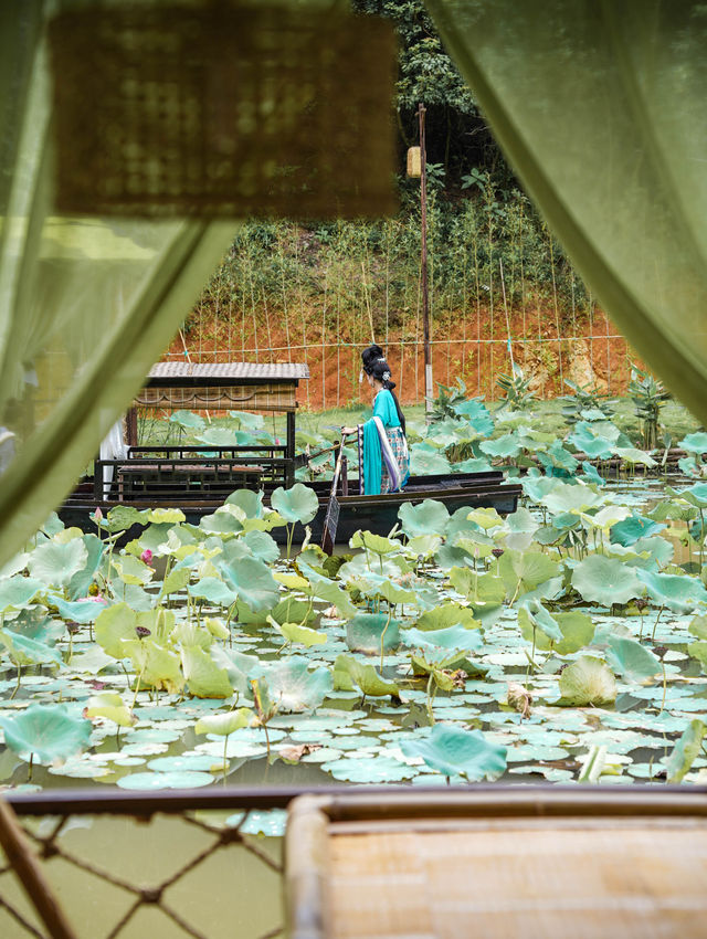 救命！深圳呢間新開嘅「雲深不知處」，真係將陳情令嘅仙氣照入現實