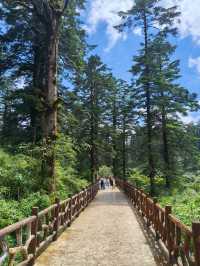世界桌山-瓦屋山，來邂逅一場雲端的綺夢，奔赴這場心靈之約！