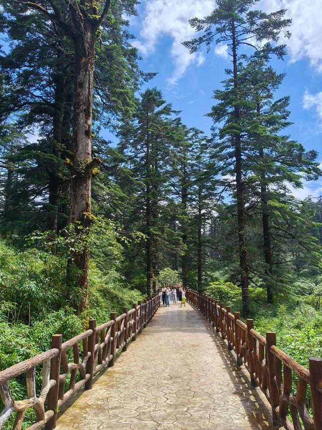 世界桌山-瓦屋山，來邂逅一場雲端的綺夢，奔赴這場心靈之約！