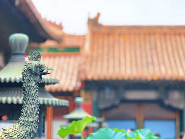 暑期北京環球、故宮遊玩攻略