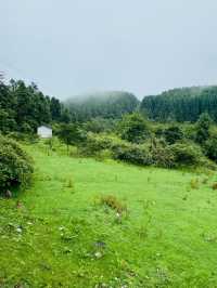仙女山露營避暑指南——星空草原+天然冷氣，夏日逃離計劃！
