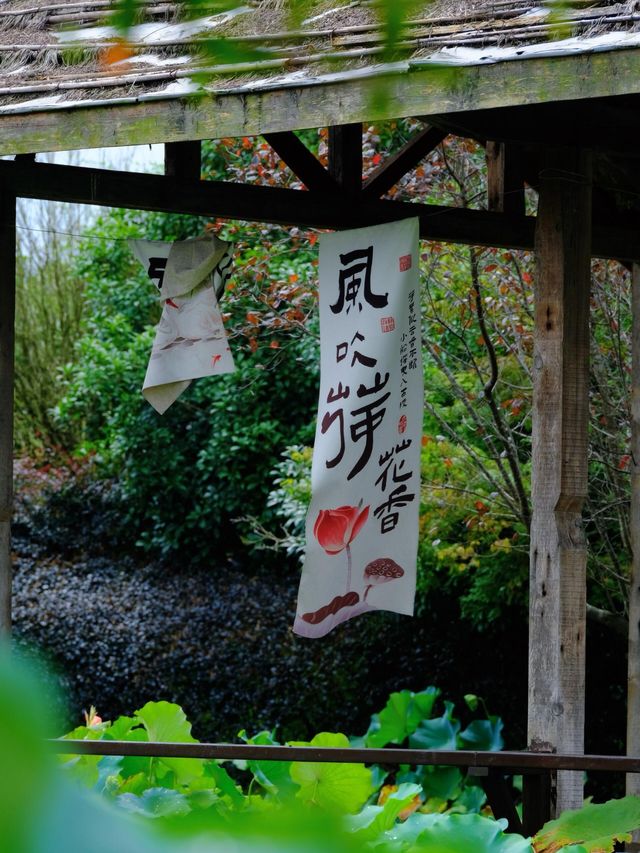 成都紫薇花秘境絕美