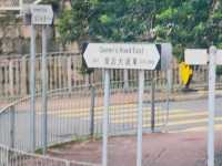 📍香港遊玩全攻略：從山頂全景到輪轉星光，暢遊東西薈萃之都 