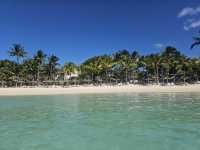 A Slice of Paradise