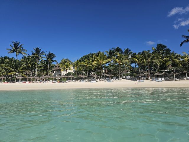 A Slice of Paradise