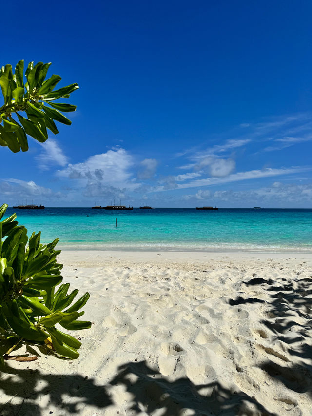 A Perfectly Relaxing Safari Island Getaway
