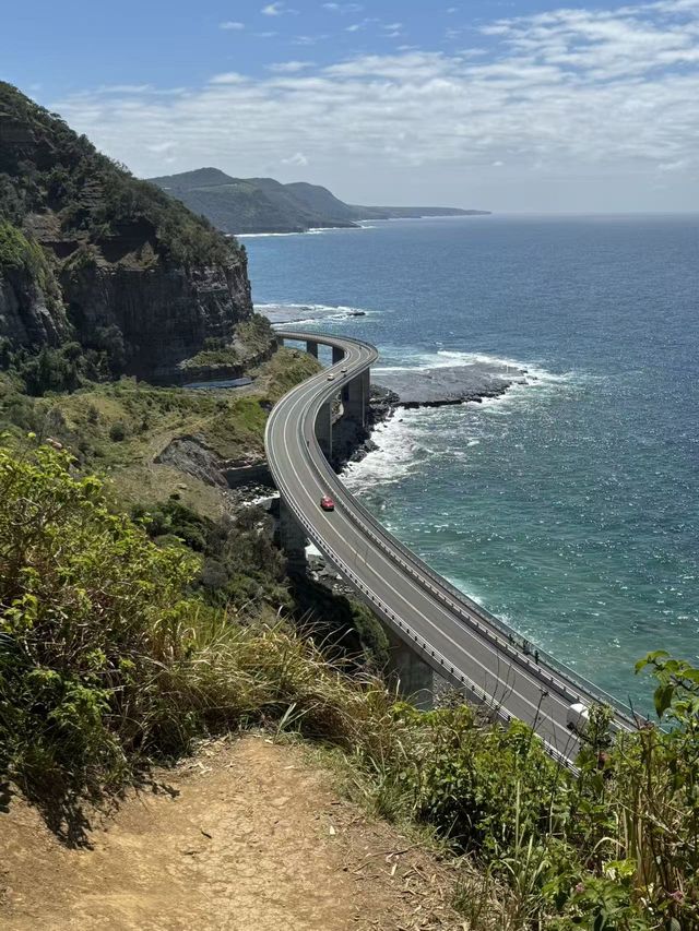 悉尼旅遊正確玩法！