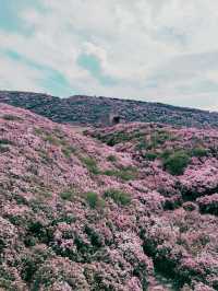 烏蒙山旅遊攻略