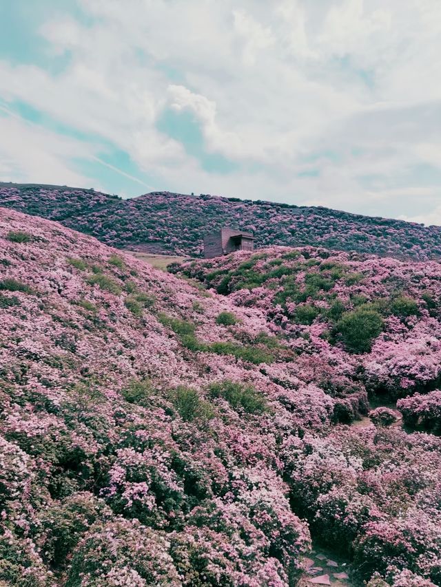 烏蒙山旅遊攻略