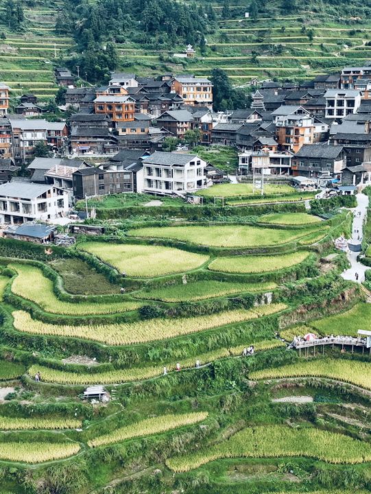 九月必去賞梯田靚景🌾藏在黔東南的時光秘境