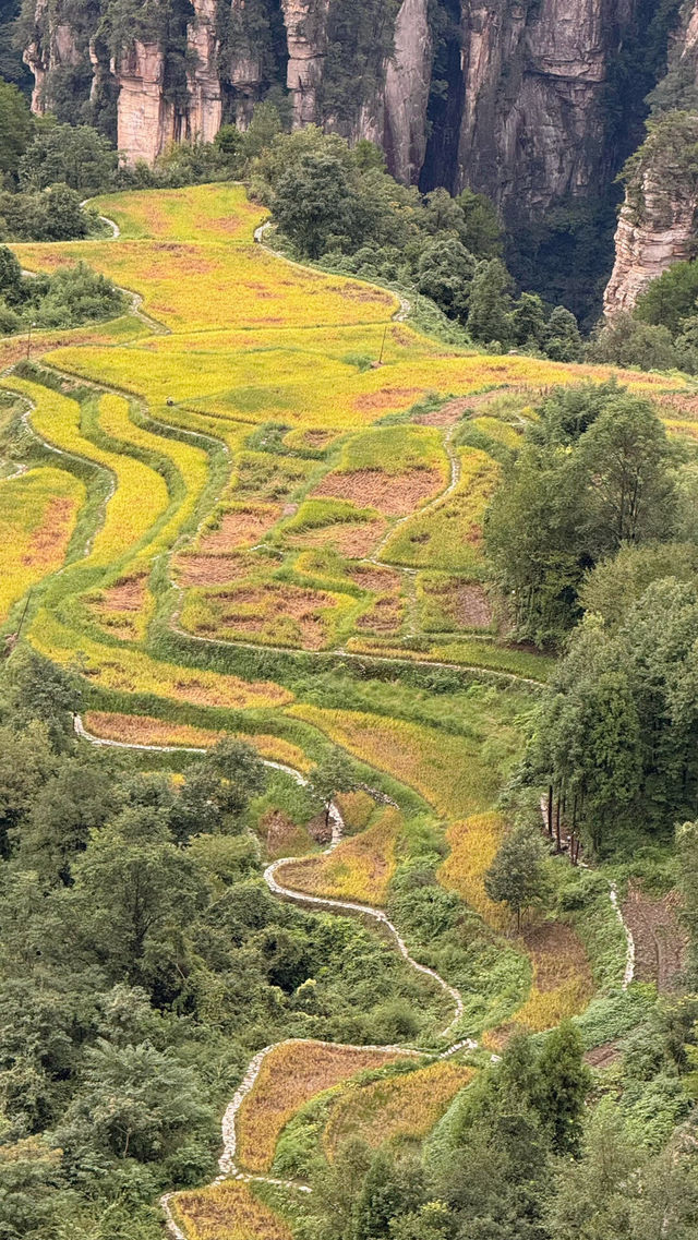 你見過會“飄”在雲裡的石頭嗎？