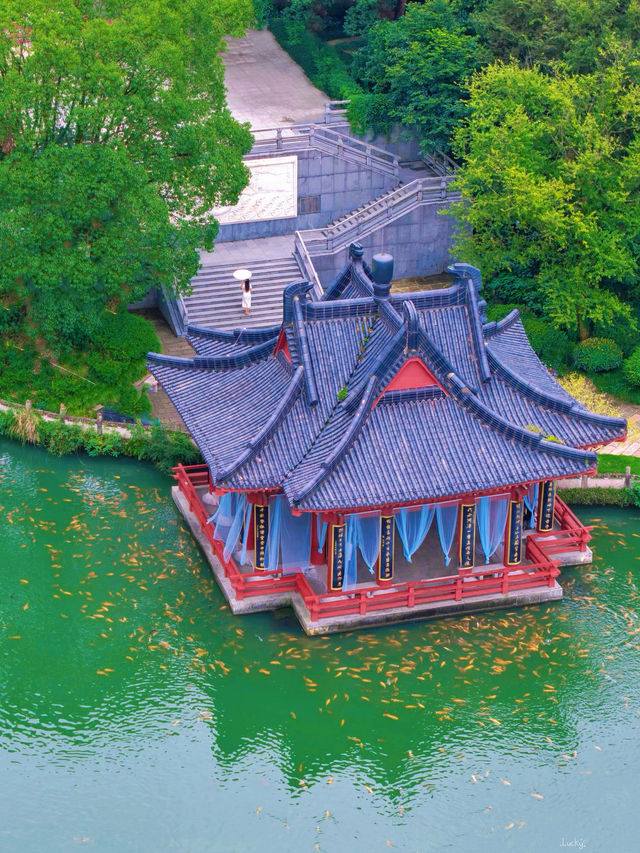沒踩雷🫡第一次來縉雲玩直接複製這條路線