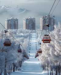 亞布力暖居別墅·3天2晚深度遊攻略：滑雪、溫泉、熊貓一站式打