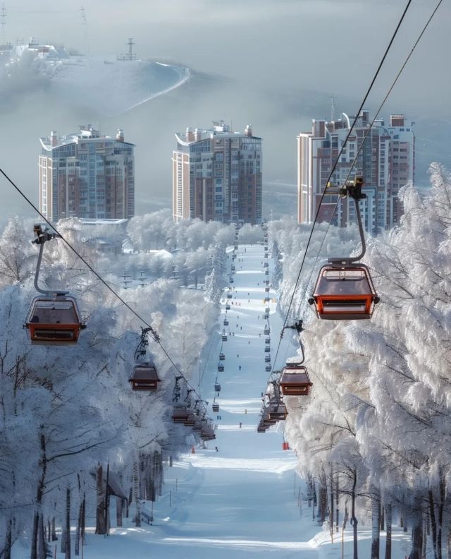 亞布力暖居別墅·3天2晚深度遊攻略：滑雪、溫泉、熊貓一站式打