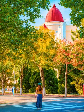 Later, I told everyone how romantic the autumn at Harbin Institute of Technology in Weihai is…