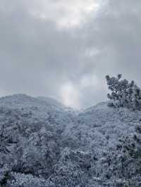 黃山冬日仙境！保姆級雪景攻略+冷門機位大公開 杭州出發2h直達！黃山雪景封神了家人們！ 