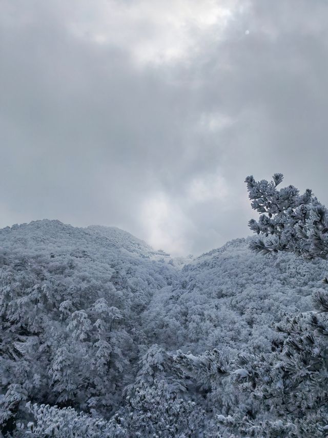 黃山冬日仙境！保姆級雪景攻略+冷門機位大公開 杭州出發2h直達！黃山雪景封神了家人們！ 