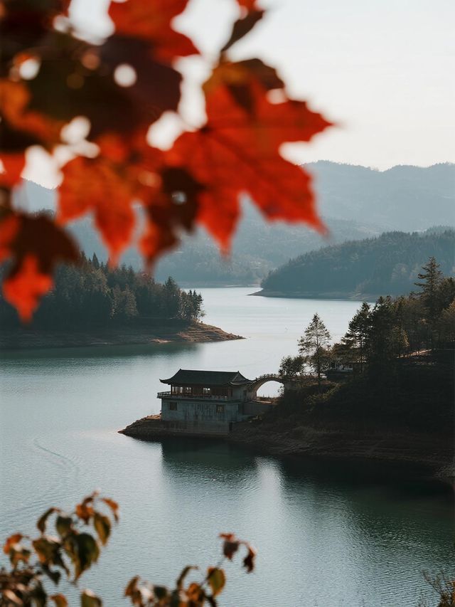 被《國家地理》評為中國最美地方之一，茂蘭的秋日秘境​