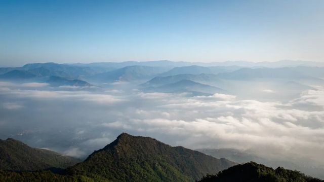 雲深不知處哀牢山打卡攻略來啦！