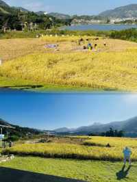 福州永泰！山野獨棟小屋！太讚了！