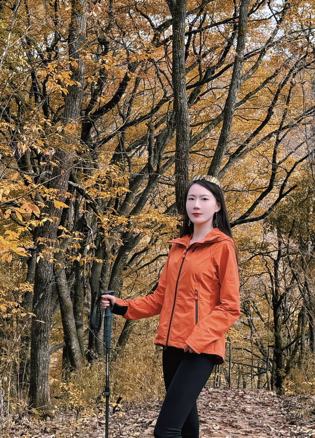 國家地理沒有騙我！！這裡的秋天，美到封神！！