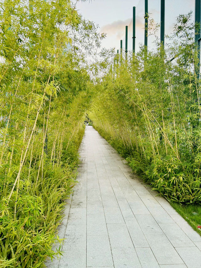 🌿 深業上城｜一個可以在百貨中看見綠地、綠地中看見高樓的魔幻之地