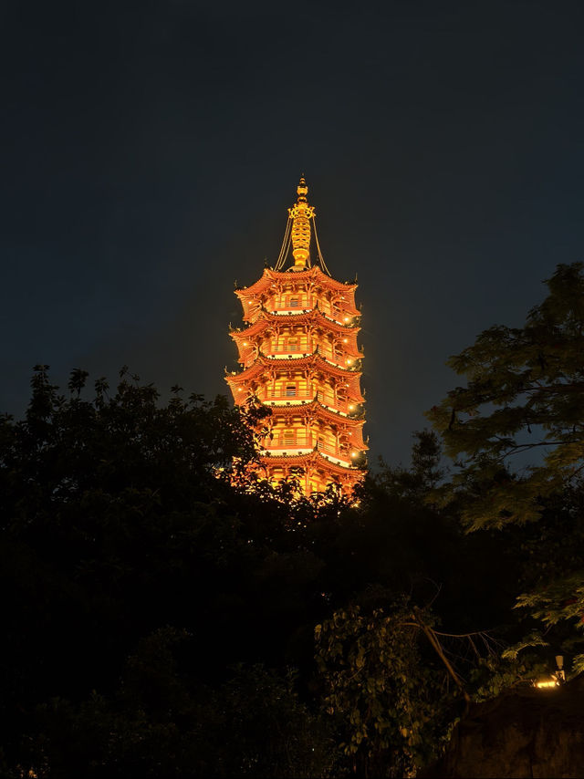 龍華公園拍塔全攻略
