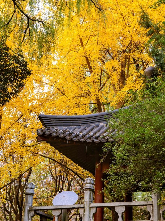 慈恩寺森林公園，康平兩天一宿旅遊一用攻略
