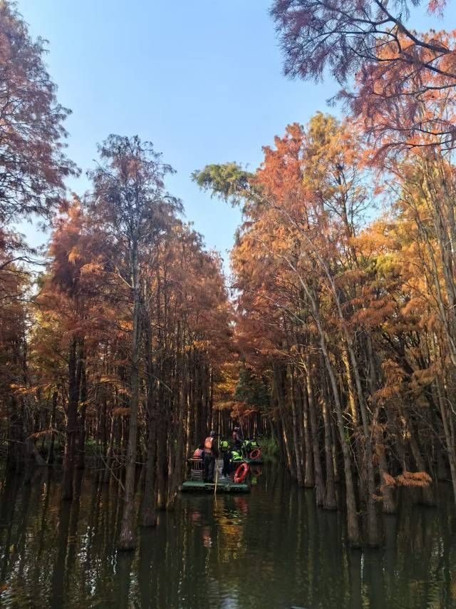 蘇州的秋天