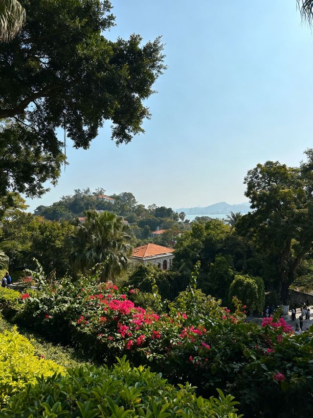 廈門廈島趣玩｜藏鮮與樂
