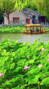 頤和園的鄰居竟藏了個仙境！北海公園3小時逛拍攻略  北海公園頂流！白塔倒影美到窒息！ 必去理由 