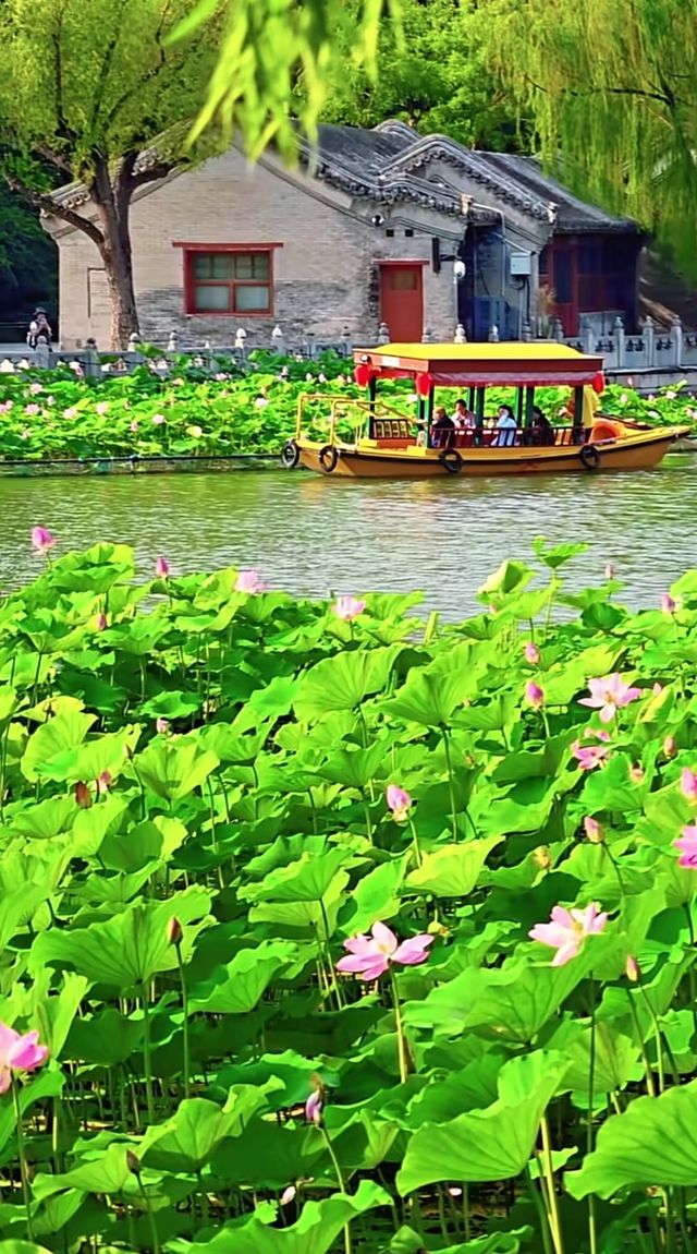 頤和園的鄰居竟藏了個仙境！北海公園3小時逛拍攻略  北海公園頂流！白塔倒影美到窒息！ 必去理由 